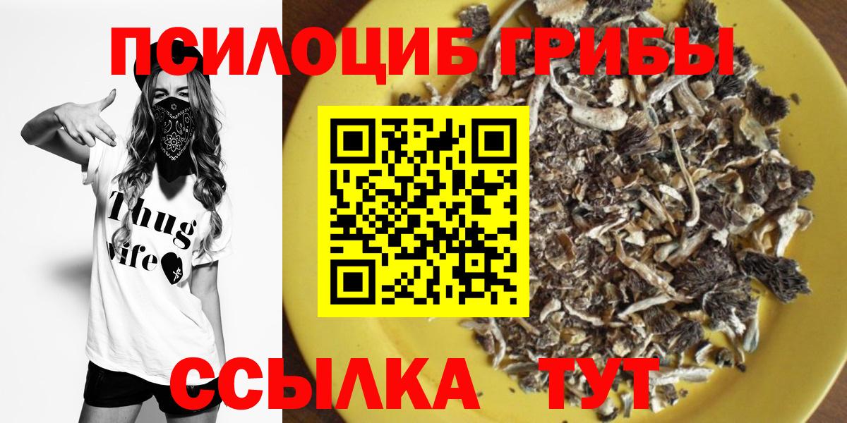 Псилоцибиновые грибы Magic Shrooms  Псилоцибиновые грибы MAGIC MUSHROOMS  Вход с VPN  Лесозаводск 