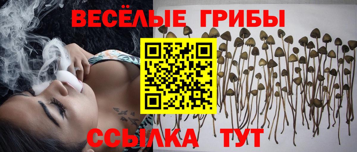 Псилоцибиновые грибы мицелий Лесозаводск